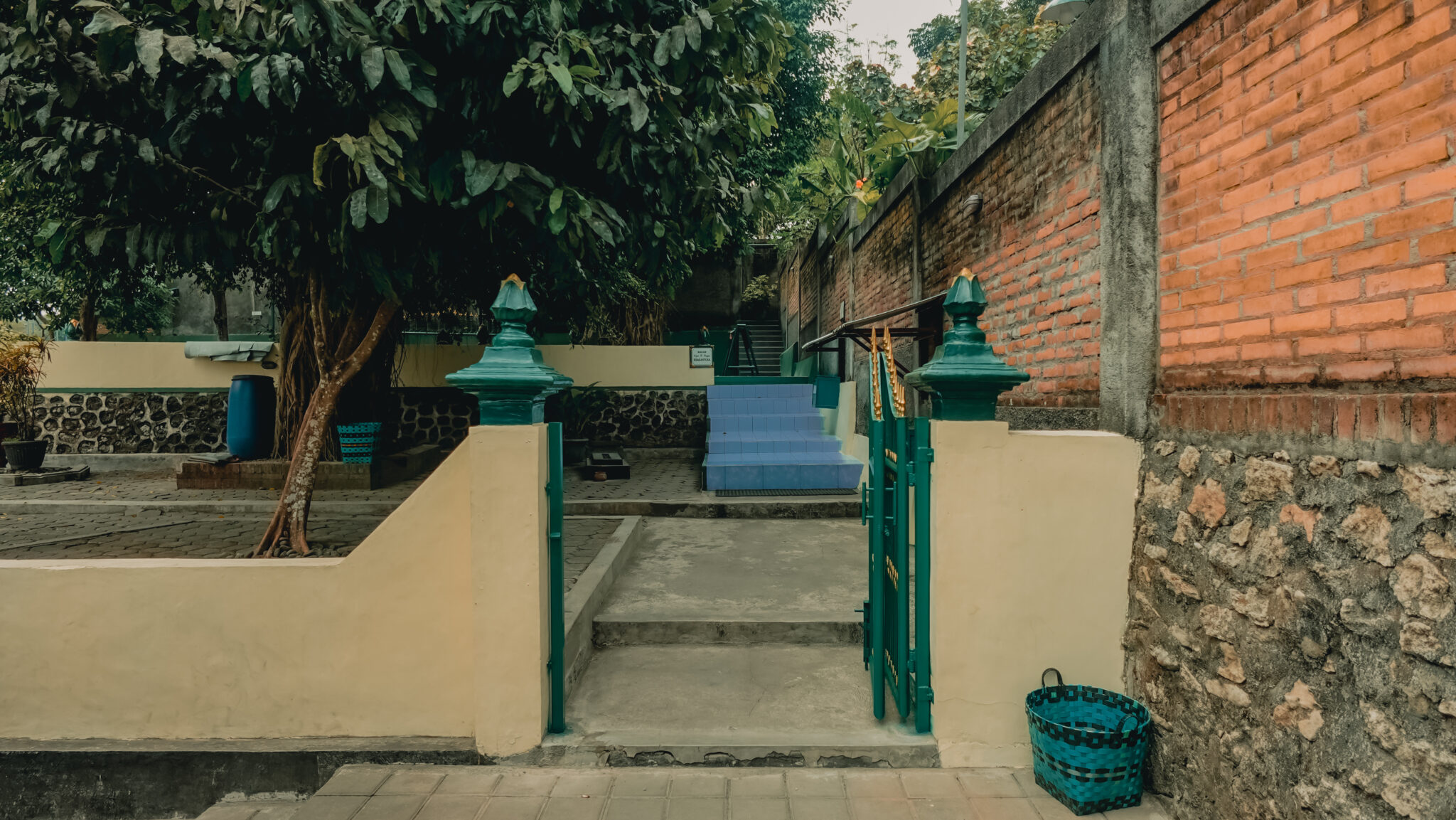 DSC00037
